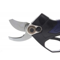 TIJERA BATERIA CAMPAGNOLA SL23